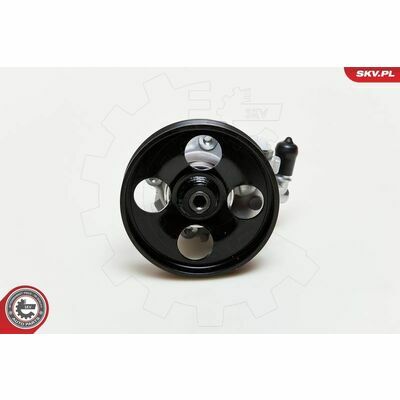 10SKV009