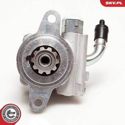 10SKV032