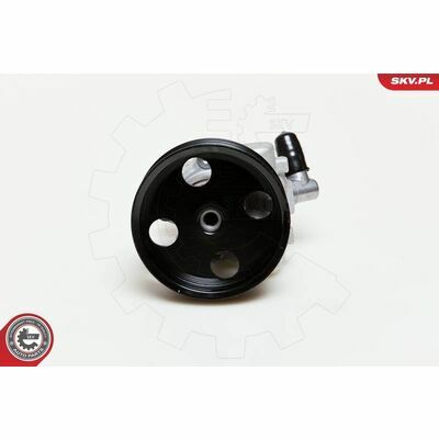 10SKV039