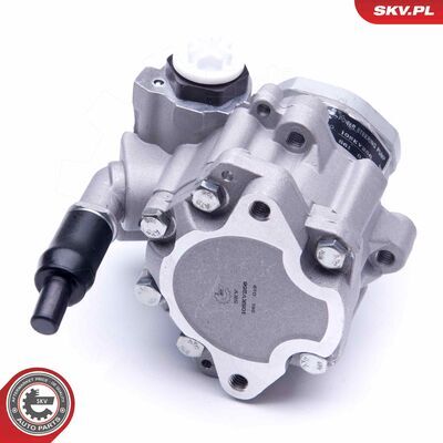 10SKV256