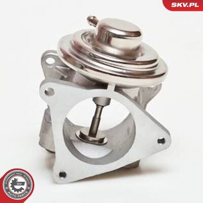 14SKV019