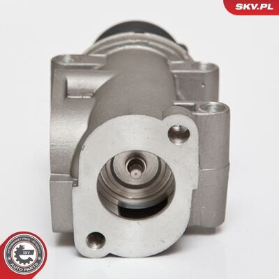 14SKV076