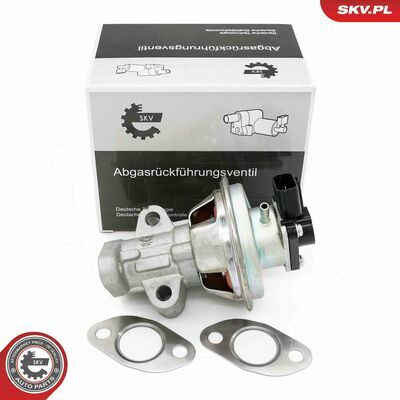 14SKV262