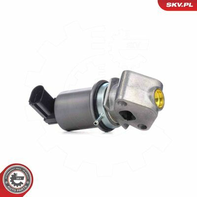 14SKV293