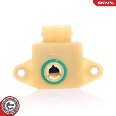 17SKV009