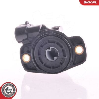 17SKV010