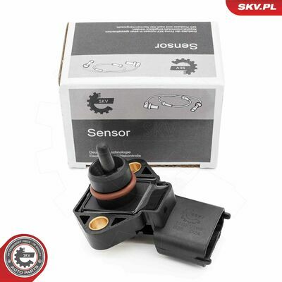 17SKV166