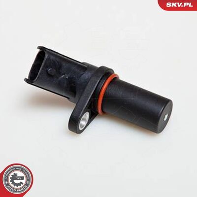 17SKV228