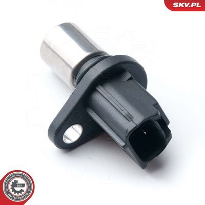 17SKV253
