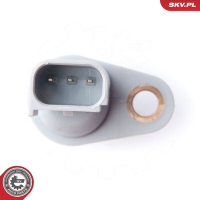 17SKV260