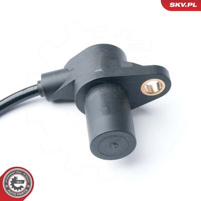 17SKV296
