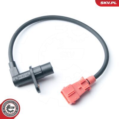 17SKV306