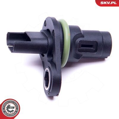 17SKV494