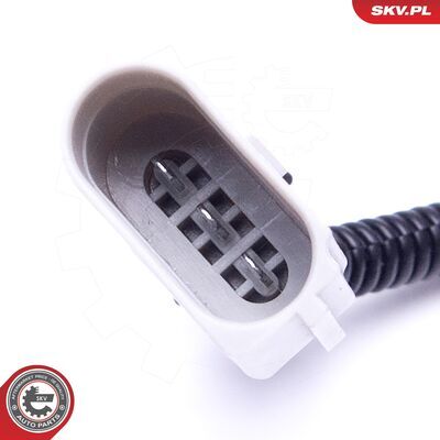 17SKV509