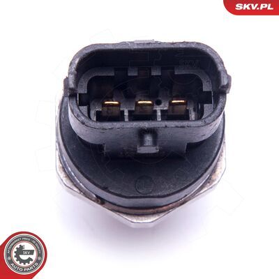 17SKV614