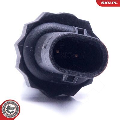 17SKV673