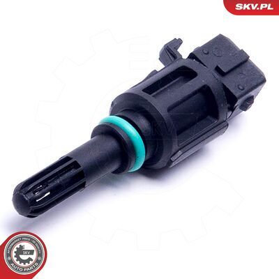 17SKV689