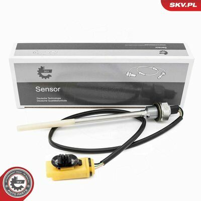 17SKV953