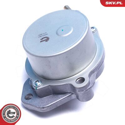 18SKV061