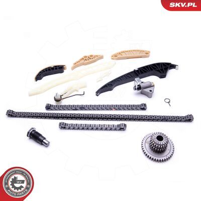 21SKV139