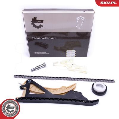 21SKV169