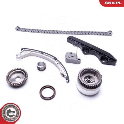 21SKV206