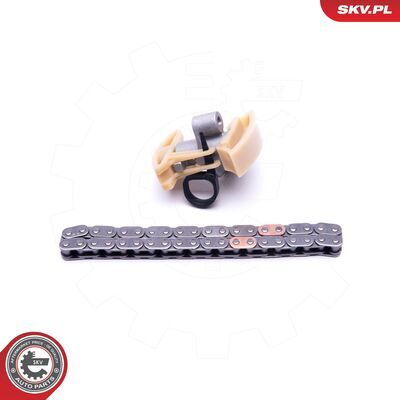 21SKV227