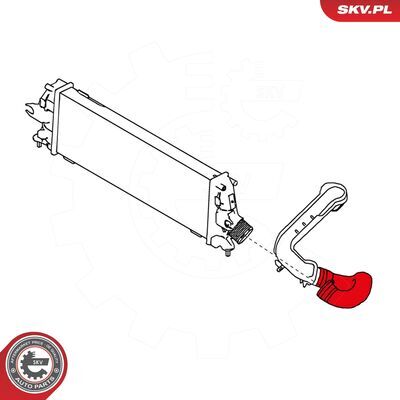 24SKV169
