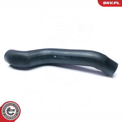 24SKV209