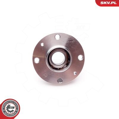 29SKV038