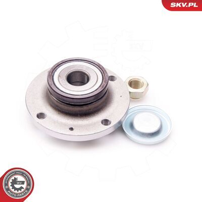 29SKV093