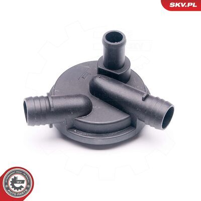 31SKV012
