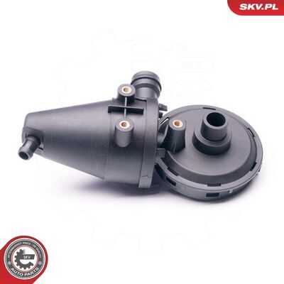 31SKV039