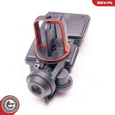 31SKV047