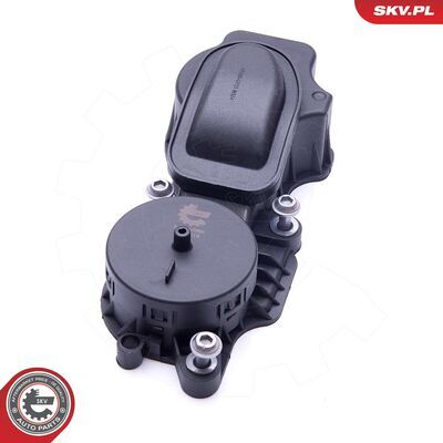 31SKV069