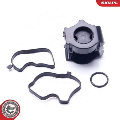 31SKV072
