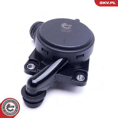 31SKV156