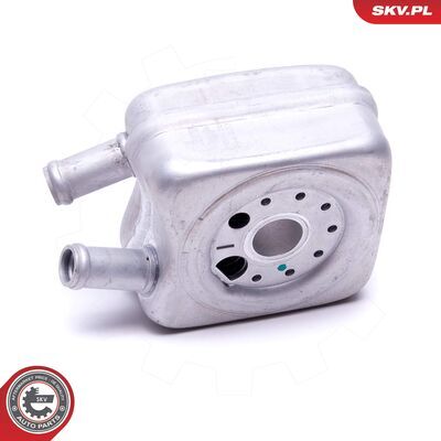 31SKV204