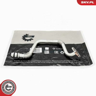 31SKV253