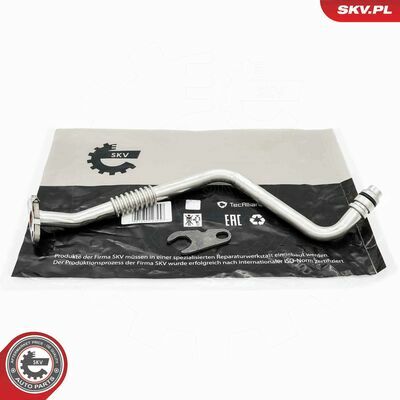 31SKV257