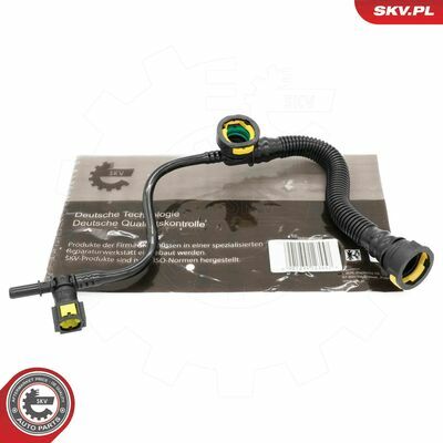 31SKV268