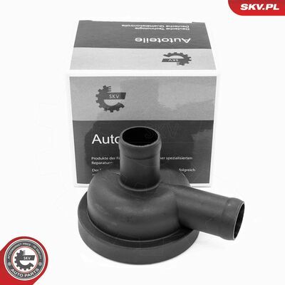 31SKV405