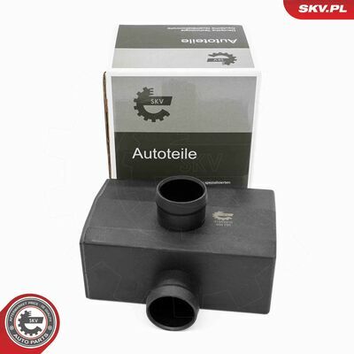 31SKV418