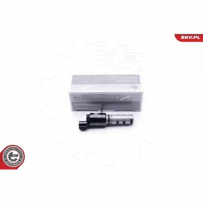 39SKV018