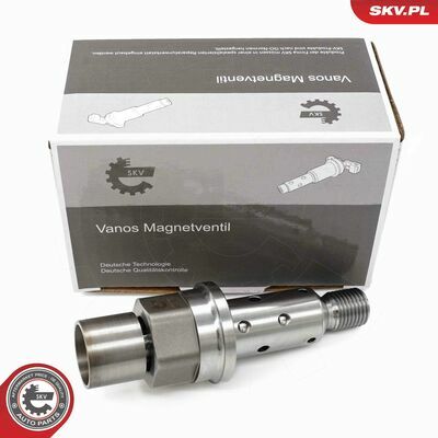 39SKV069