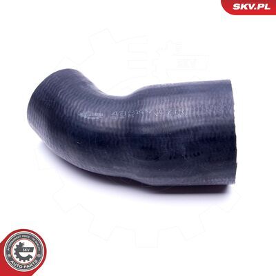 43SKV170