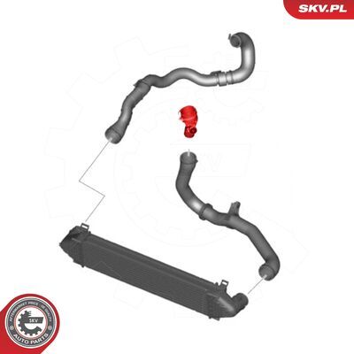 43SKV306