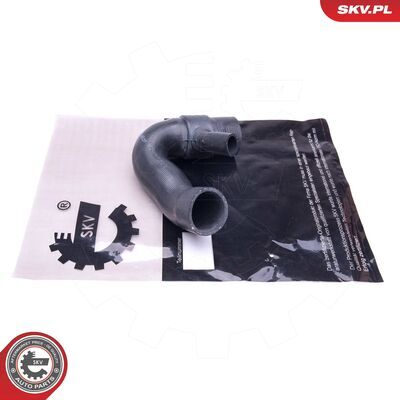 43SKV418