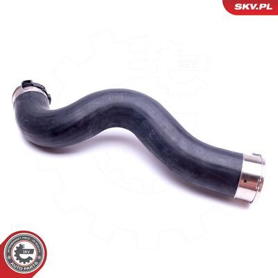43SKV431