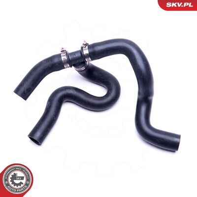 43SKV617